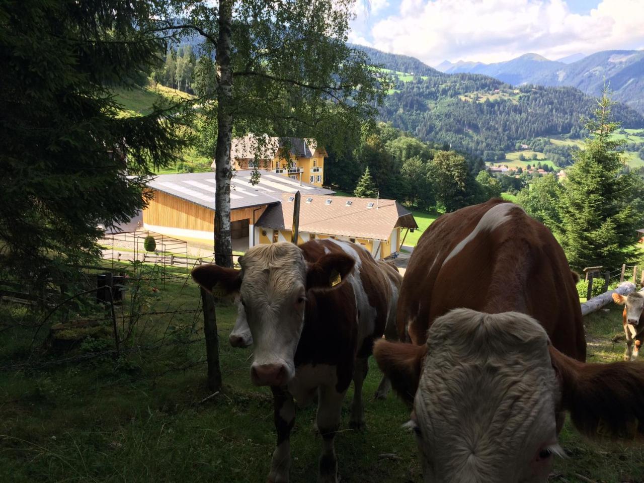 Appart Soelkhof Schöder Exteriér fotografie